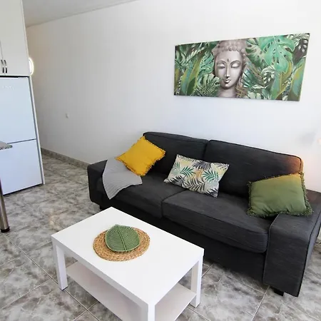 Aloe Floor Playa del Inglés