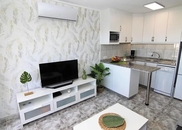 Aloe Floor بلايا ديل إنغلز